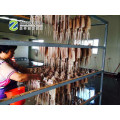 New High Quality Dried Squid Wholesale Price